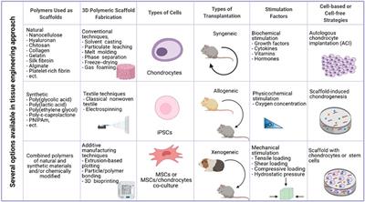 Nanocellulose-Based Scaffolds for Chondrogenic Differentiation and Expansion